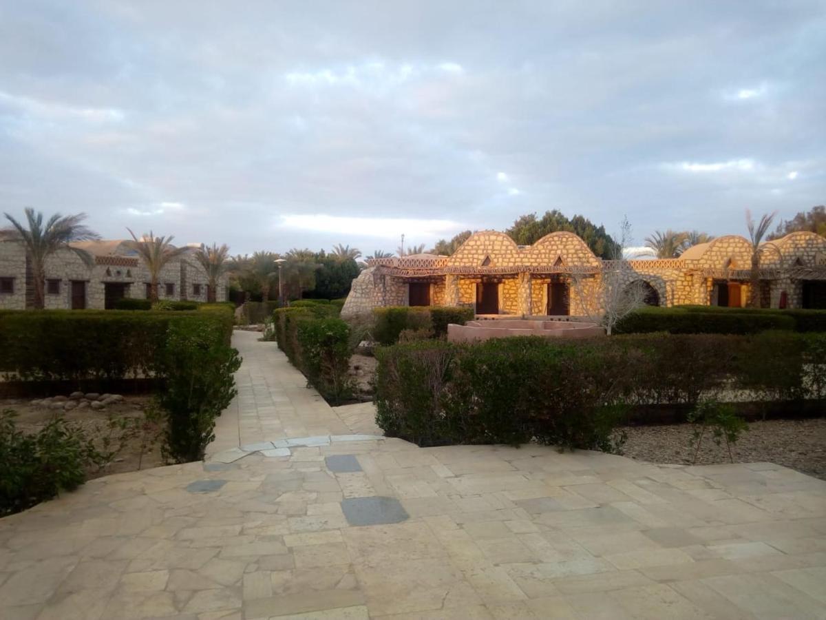 Aliyah Eco-Lodge Bawiti Exterior photo