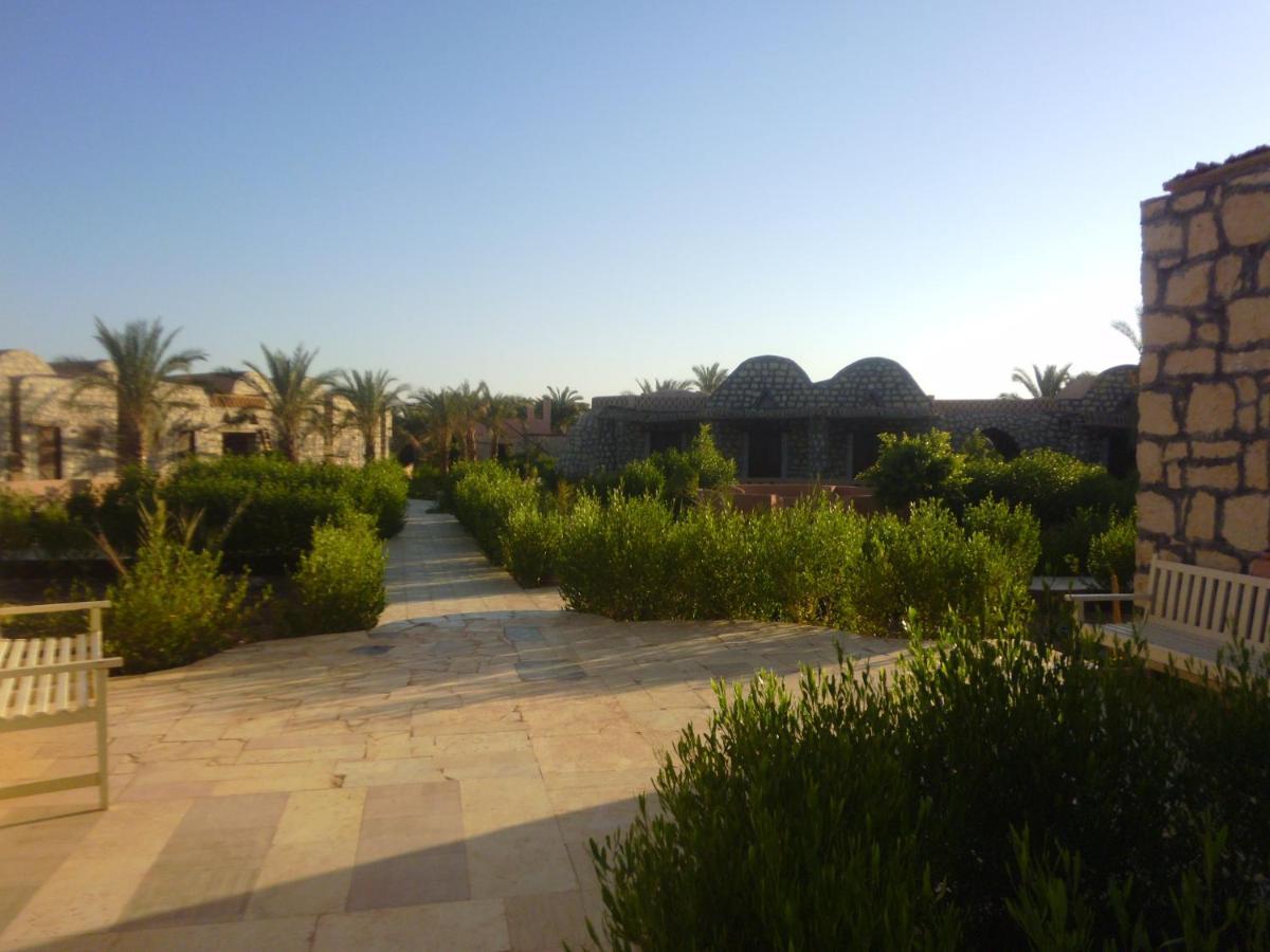 Aliyah Eco-Lodge Bawiti Exterior photo